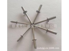 不锈钢304抽芯铆钉图2