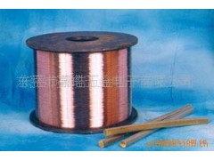 现货供应电子导针,LED导针，环保镀锡，镀镍图2