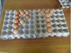 多种纸质包装生产线图3