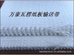 供应瓦楞纸板生产线纸板输送带 【热卖】图3