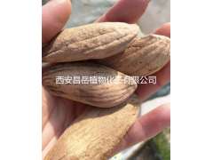 厂家供应  现货 芒果核提取物图3