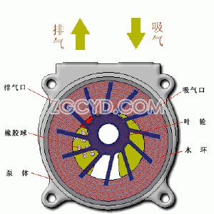 SZ型水环式真空泵工作原理