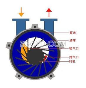  SZ型水环式真空泵结构