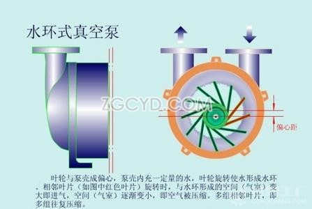 水环式真空泵工作原理图