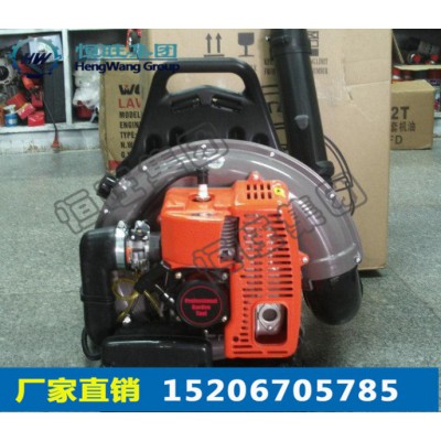 厂家生产背负式吹风机 高效率背负式吹雪机 价格优惠图2