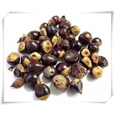 昌岳供应 瓜拿纳提取物 瓜拉纳提取物20%厂家图2