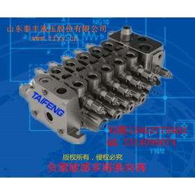 TRM20  TRM15系列多路阀 泰丰液压生产