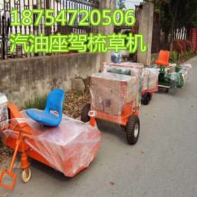 黑龙江黑河人工草坪汽油座驾梳草冲砂机性能价钱低