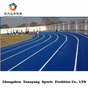 厂家专业施工体育场地环保塑胶跑道供应全塑型自结纹塑胶跑道材料