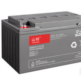 山特12V65AH 山特UPS电源  UPS蓄电池选湖北成特