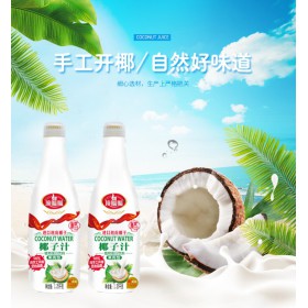 大排档椰子汁饮料1.25L招商加盟
