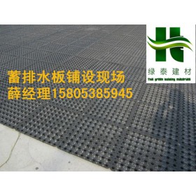 衡水2.5公分蓄排水板车库滤水板：低价供应到廊坊