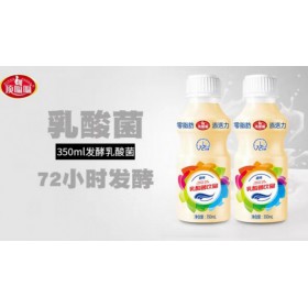 商超加盟乳酸菌饮品350ml12瓶装江西