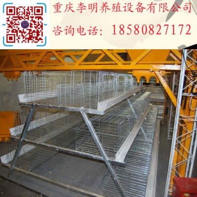 肉鸡笼 阶梯式肉鸡笼 镀锌肉鸡笼 层叠肉鸡笼图3